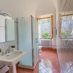 Windrose Prestige * Volterra